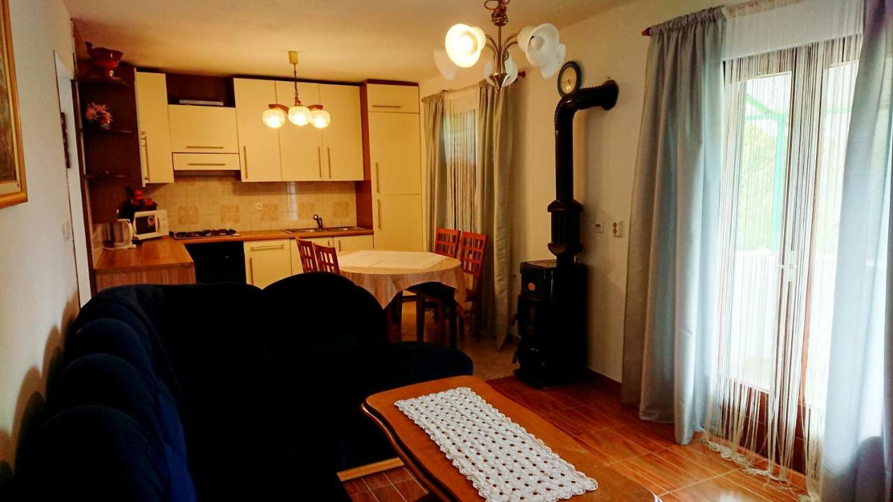 Apartments Rogocana Лабин Екстериор снимка