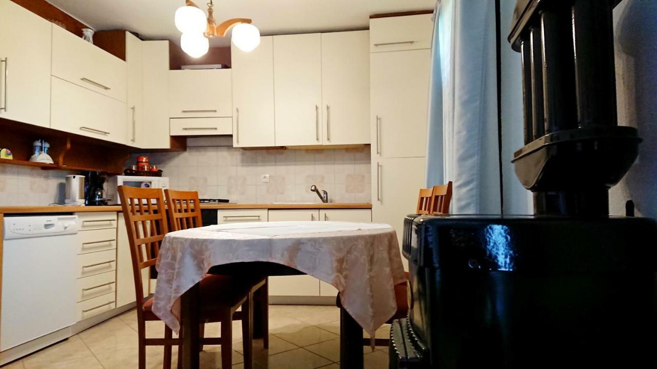 Apartments Rogocana Лабин Екстериор снимка